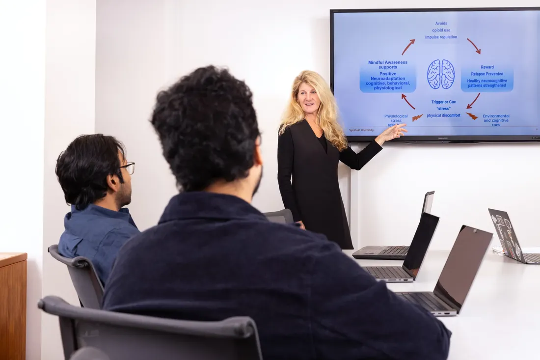 A person points to a screen showing a stress-and-neuroadaptation diagram to seated colleagues.