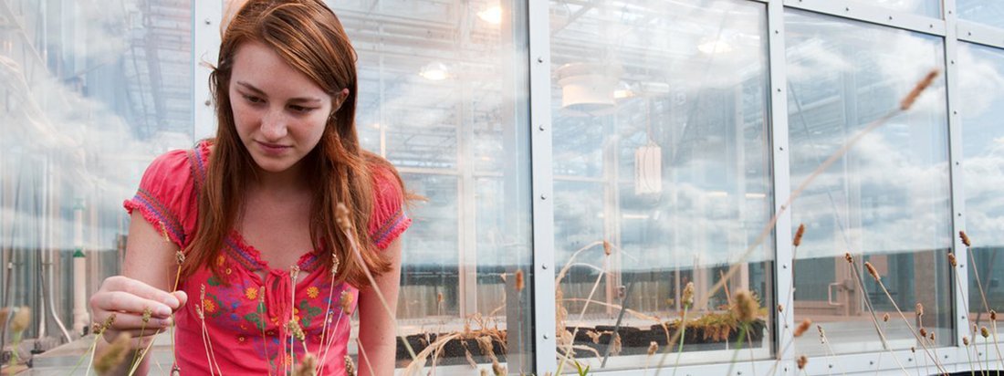 Student examines plants on the fifth floor of the Life Sciences Complex.