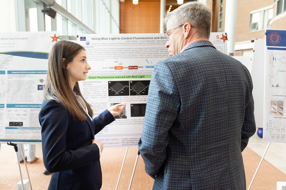 People talking at a poster session