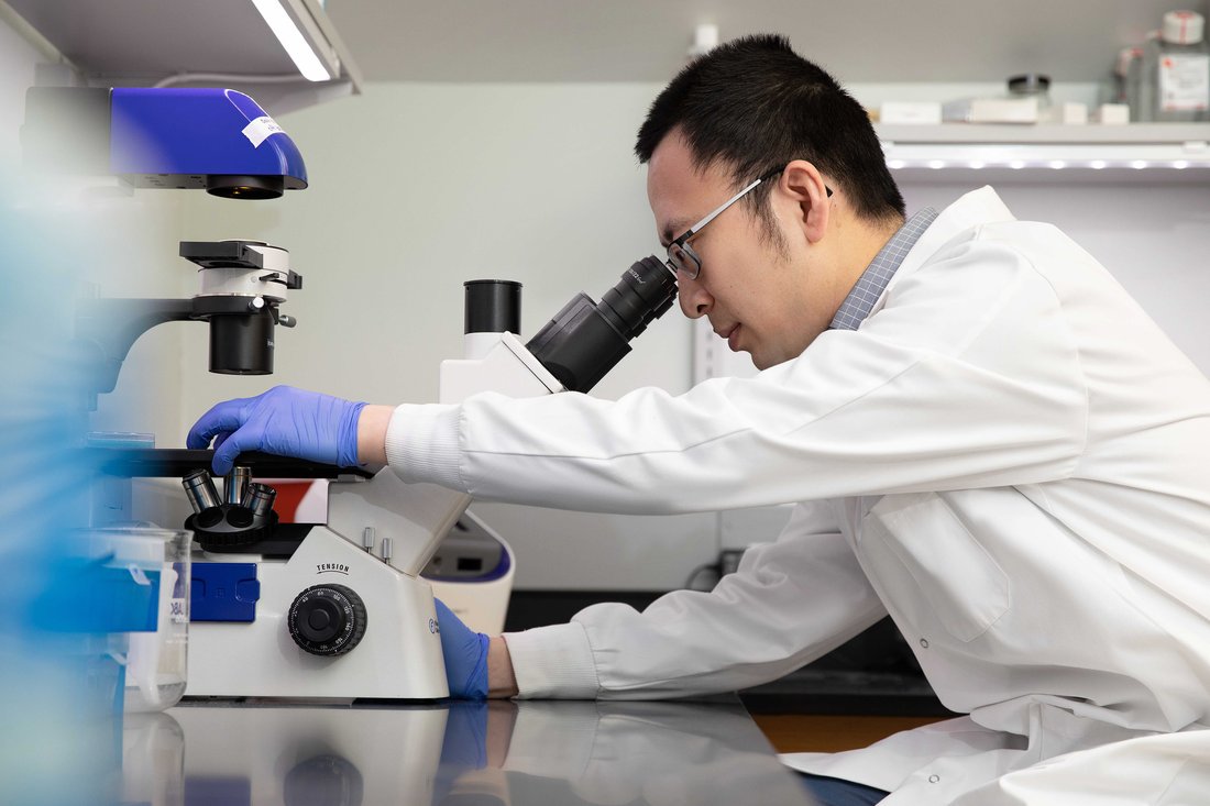 Zhen Ma looking in microscope.