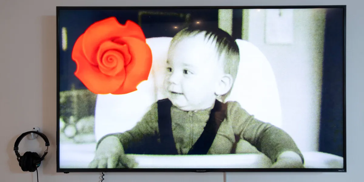 Television screen showing a baby looking at a vibrantly red-orange flower.